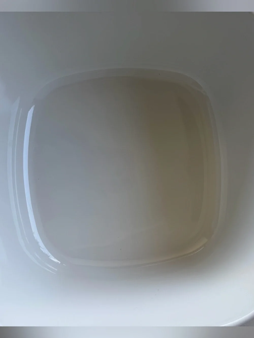 Corningware Shadow Lily 6 piece set